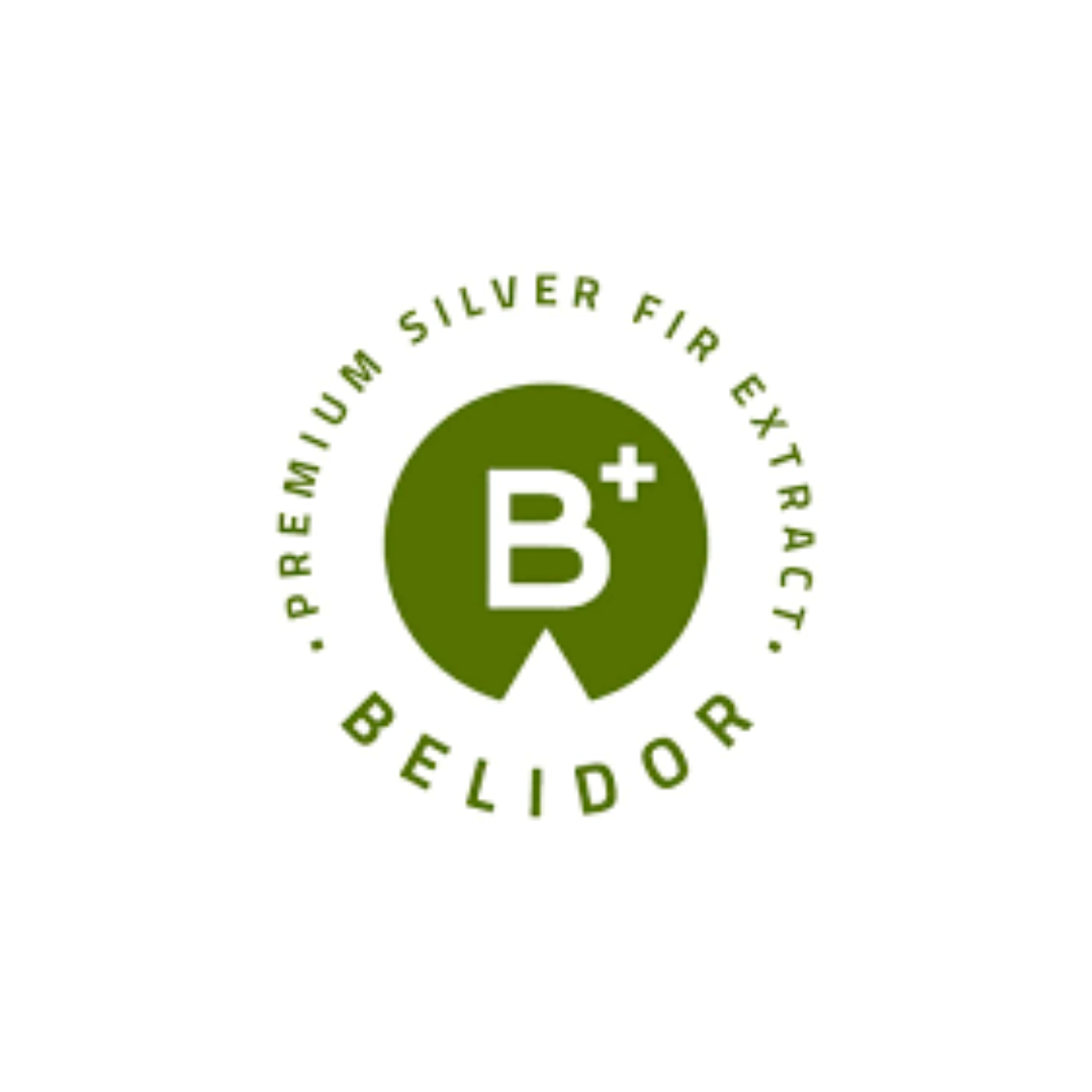 Belidor