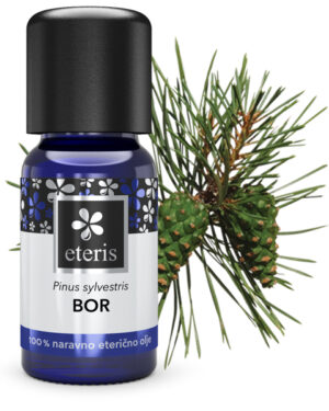 Eteris Bor eterično olje, 10 ml