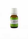 Calcium carbonicum Hahnemanni C10 homeopatske kroglice, 10 g Calcium carbonicum Hahnemanni C10 homeopatske kroglice, 10 g