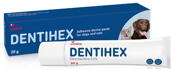 Dentihex dentalna adhezivna pasta za pse in mačke, 20 g Dentihex dentalna adhezivna pasta za pse in mačke, 20 g