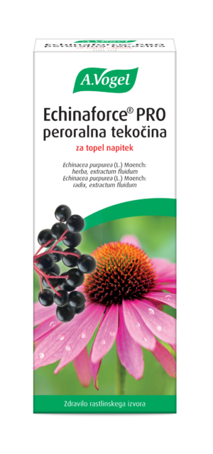 Echinaforce PRO peroralna tekočina za topel napitek, 100 ml