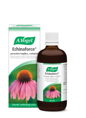 Echinaforce peroralne kapljice, 50 ml
