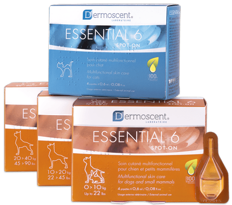 Dermoscent Essential 6 Spot-on kožni nanos za mačke, 4 pipete Dermoscent Essential 6 Spot-on kožni nanos za mačke, 4 pipete