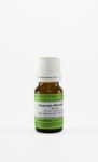 Euspongia officinalis homeopatske kroglice C6, 10 g Euspongia officinalis homeopatske kroglice C6, 10 g