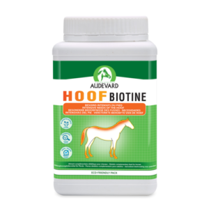 Hoof Biotine prašek za konje, 1 kg