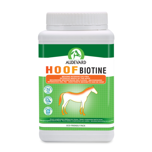 Hoof Biotine prašek za konje, 1 kg Hoof Biotine prašek za konje, 1 kg