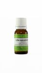 Lytta vesicatoria C12 homeopatske kroglice, 10 g Lytta vesicatoria C12 homeopatske kroglice, 10 g