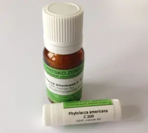Phytolacca americana C6 homeopatske kroglice, 1 g