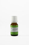 Rhus toxicodendron C30 homeopatske kroglice, 1 g