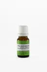 Rhus toxicodendron C200 homeopatske kroglice, 1 g Rhus toxicodendron C200 homeopatske kroglice, 1 g