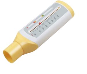 Rossmax Merilnik izdihanega zraka z barvnimi oznakami za otroke PF120C Rossmax Merilnik izdihanega zraka z barvnimi oznakami za otroke PF120C