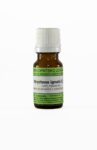 Strychnos ignatii C6 homeopatske kroglice, 10 g