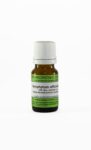 Symphytum officinale C6 homeopatske kroglice, 10 g Symphytum officinale C6 homeopatske kroglice, 10 g