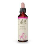 Bach Esenca št. 24 - Bor (Pine) kapljice, 20 ml Bach Esenca št. 24 - Bor (Pine) kapljice, 20 ml