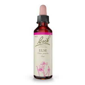 Bach Esenca št.11 - Brest (Elm) kapljice, 20 ml