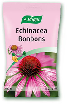 Echinacea bonboni, 75 g
