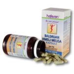 Hafesan Baldrijan + hmelj + melisa kapsule, 30 kapsul Hafesan Baldrijan + hmelj + melisa kapsule, 30 kapsul