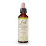 Bach Esenca št. 7 - Popek divjega kostanja (Chestnut Bud), kapljice, 20 ml