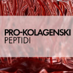 Pro-kolagenski peptidi