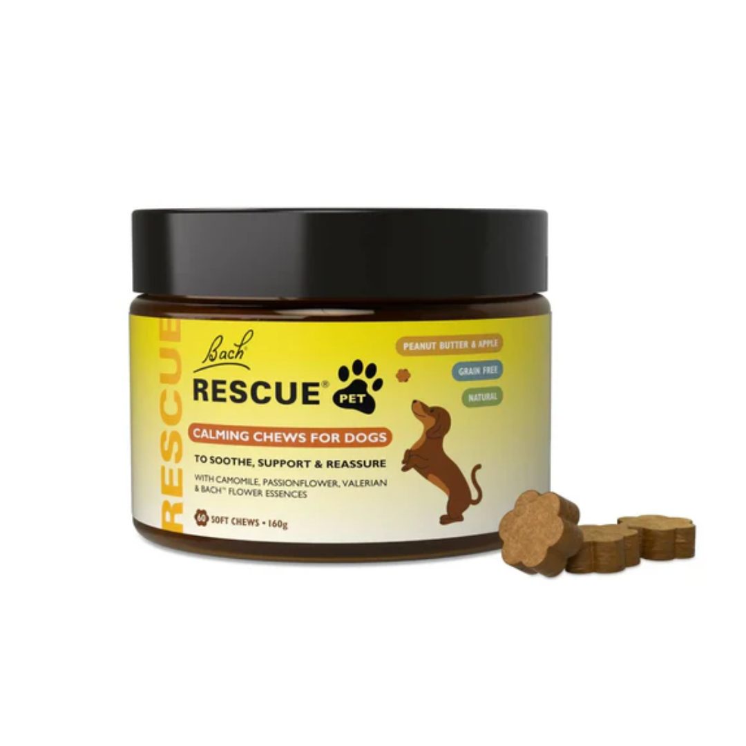 Bach Rescue Pets